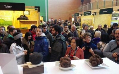 Soria celebra la XXII edición de la Feria de la Trufa Negra