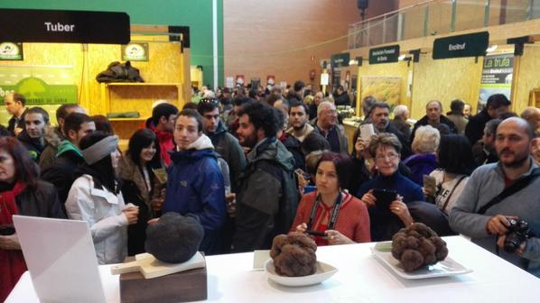 Soria celebra la XXII edición de la Feria de la Trufa Negra